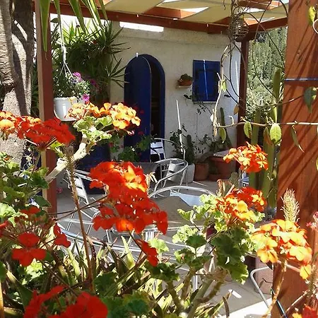 Mistral * Lefkada City